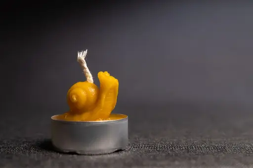 Bougie escargot